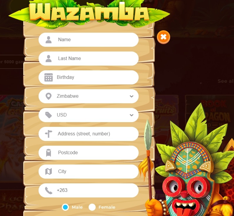Zimbabwe registration 2025